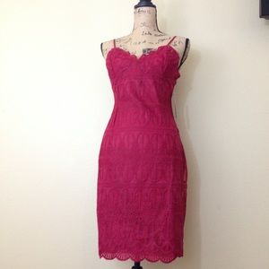 NWT! Red Wine Lace Sleeveless Bodycon Dress